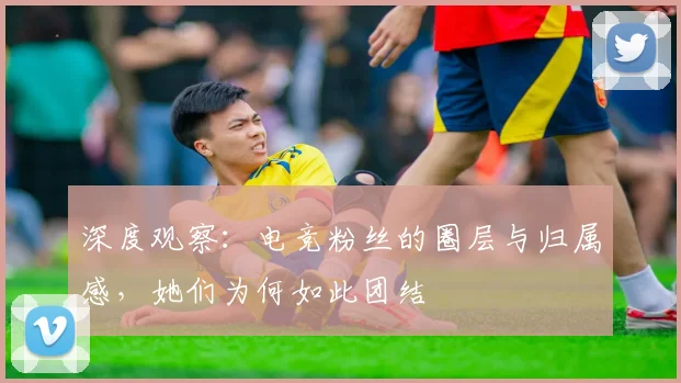深度观察:电竞粉丝的圈层与归属感,她们为何如此团结