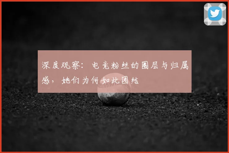 深度观察：电竞粉丝的圈层与归属感，她们为何如此团结
