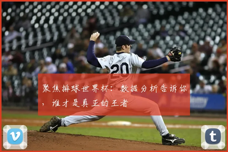 聚焦排球世界杯：数据分析告诉你，谁才是真正的王者